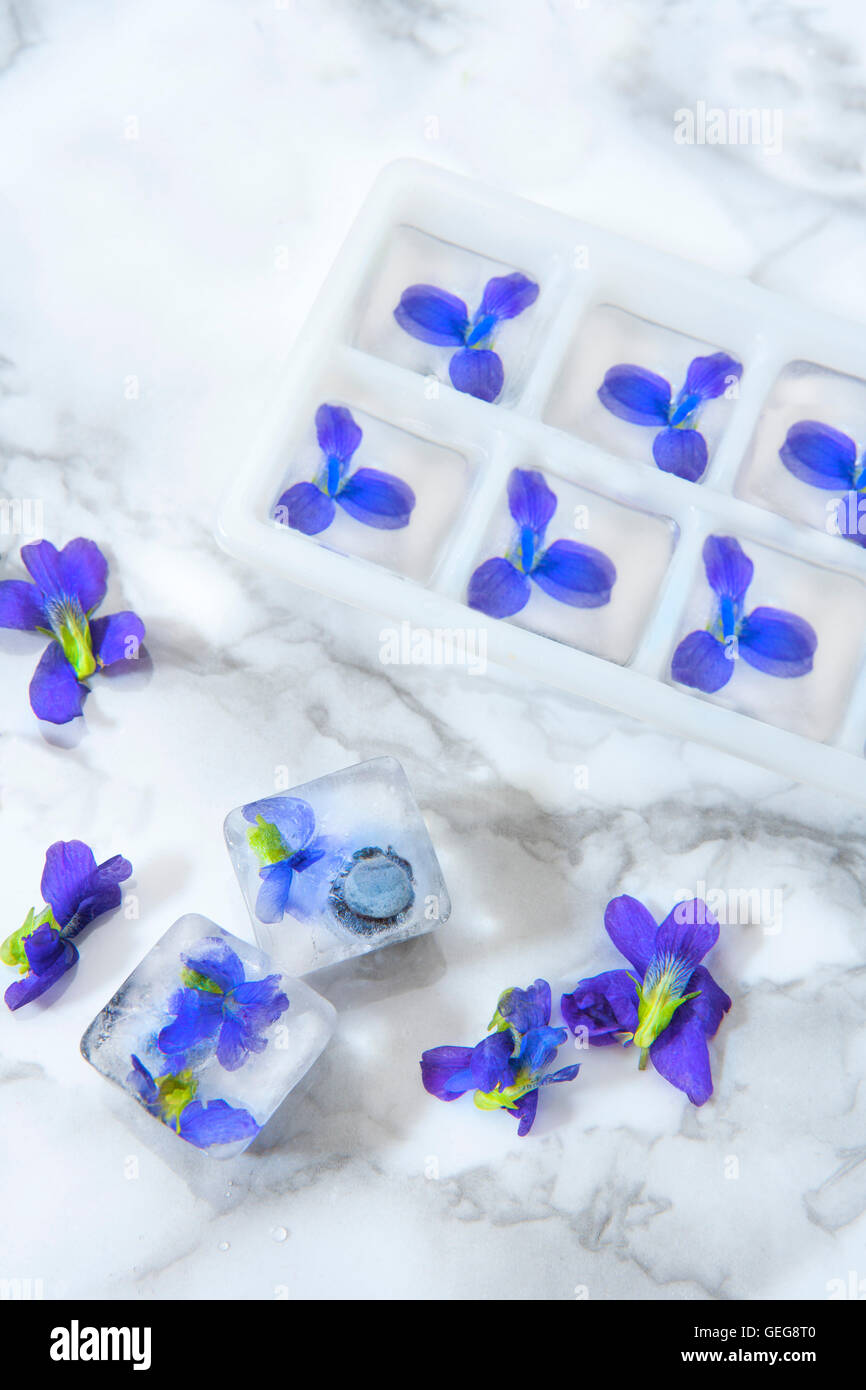 Cubetti di ghiaccio con fiori commestibili Foto Stock