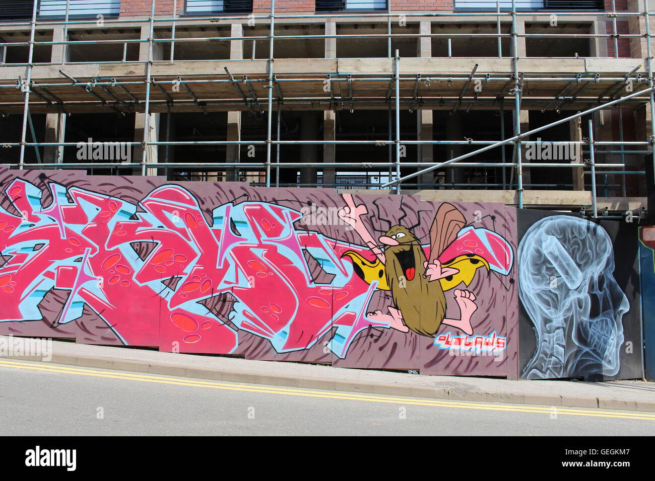 Graffiti sul lato di un edificio sito con i ponteggi in Sheffield, Inghilterra Foto Stock