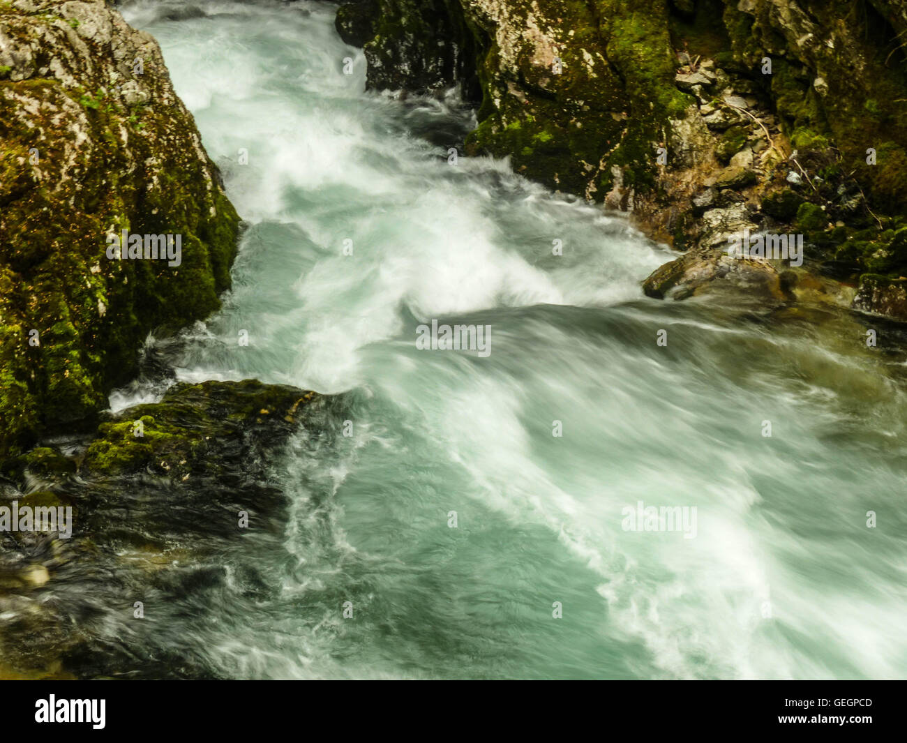 Ventgar Riserva Naturale,CROAZIA Foto Stock