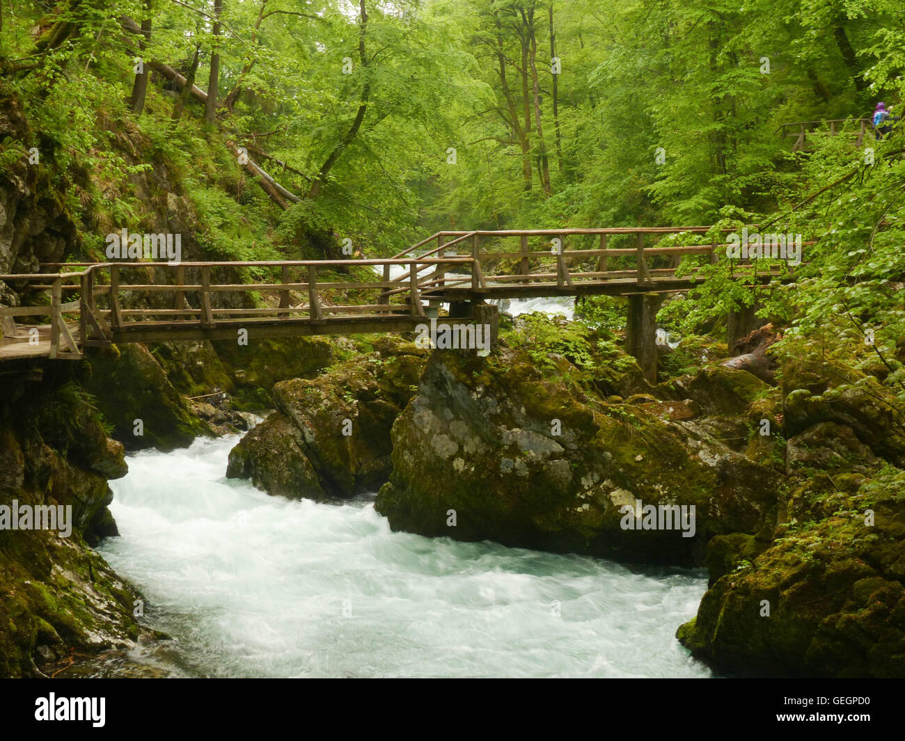 Ventgar Riserva Naturale,CROAZIA Foto Stock