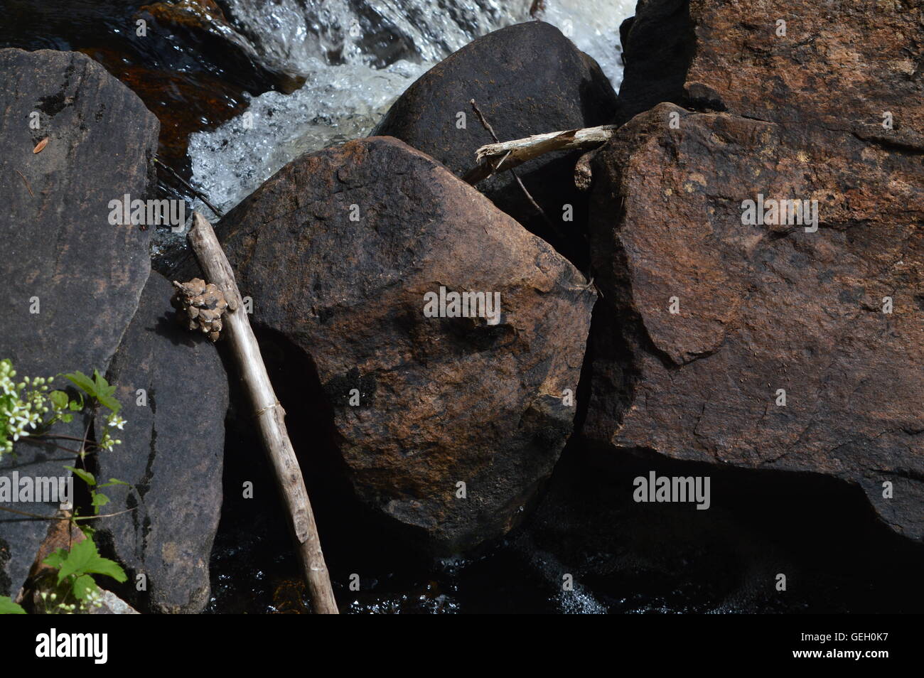 Frutto della natura Foto Stock