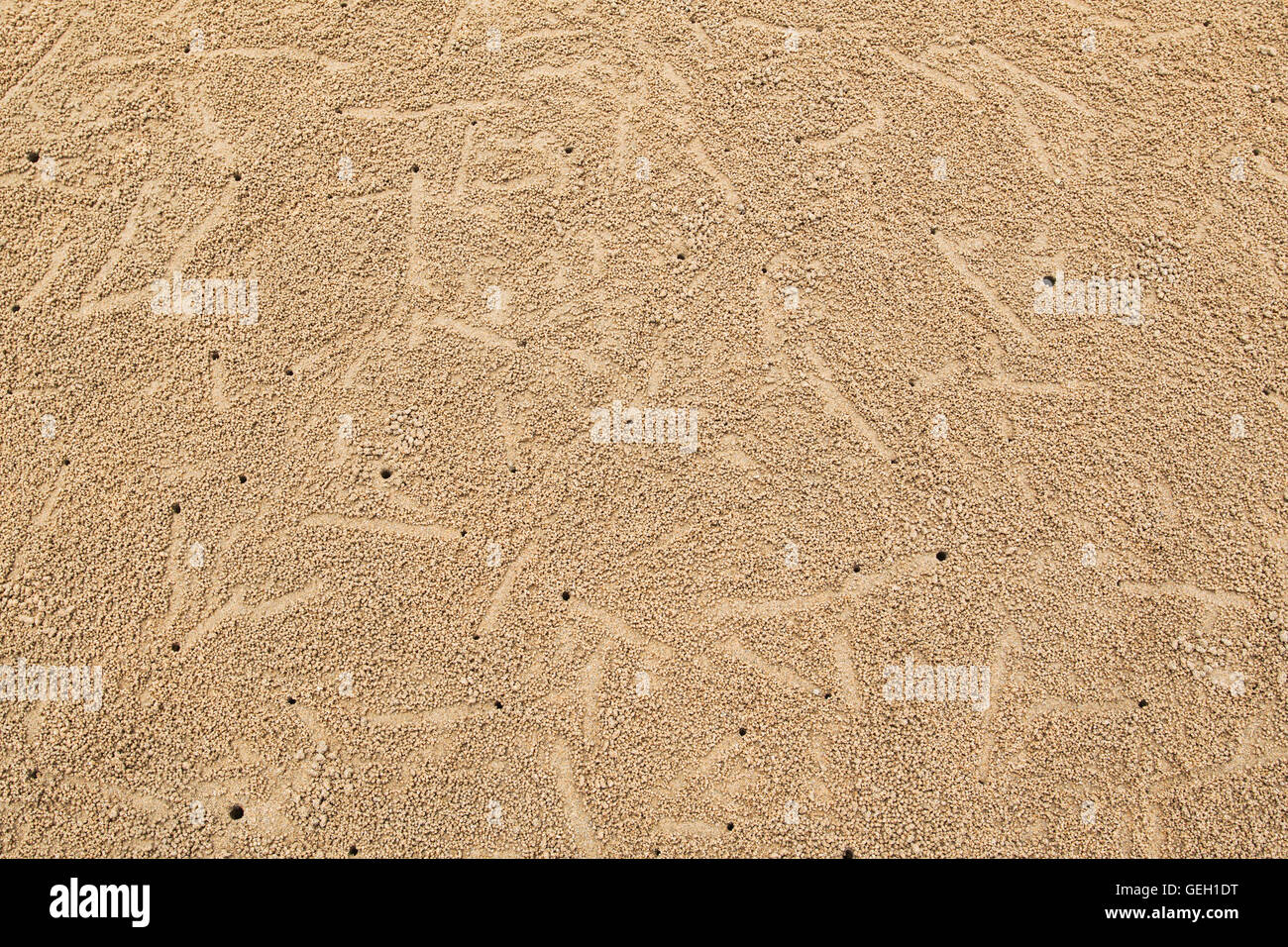 Fori di granchi sulla spiaggia Foto Stock