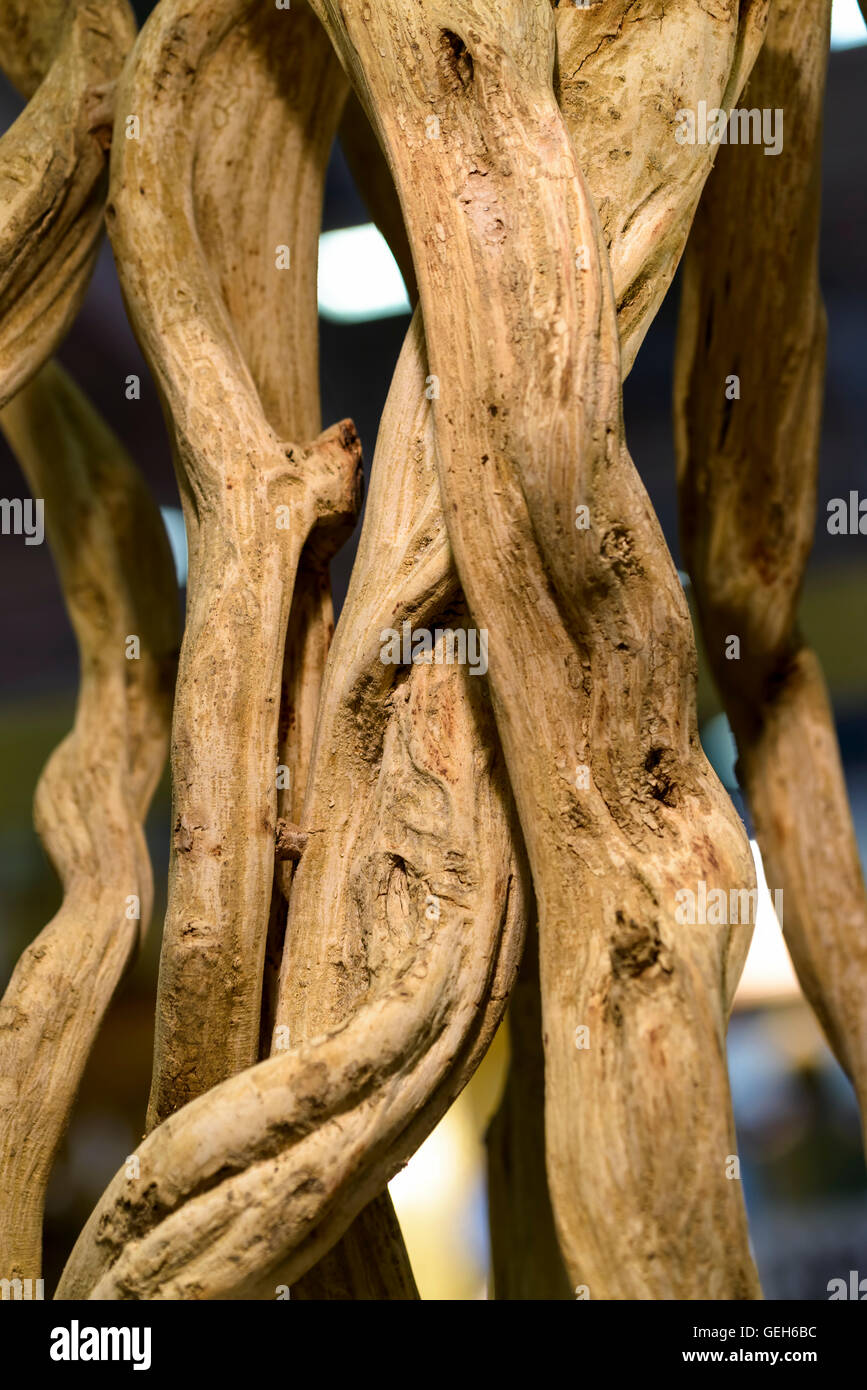 Rami di legno ondulato come decorazione di interni Foto Stock