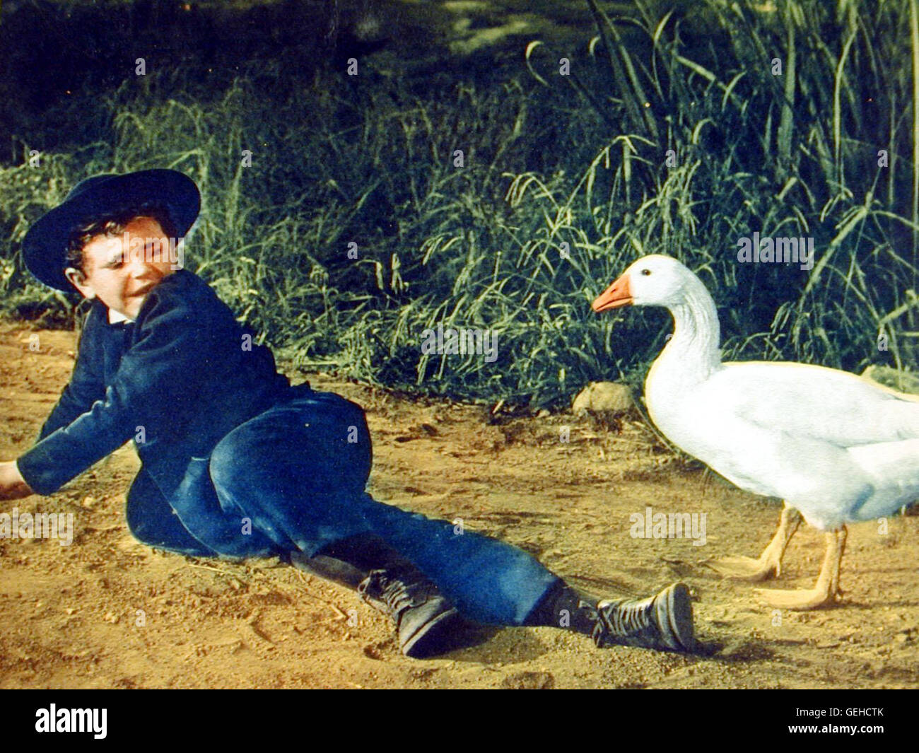 Richard Eyer Daniel (Richard Eyer) bringt sich vor einer Gans in Sicherheit. *** Caption locale *** 1956, Friendly persuasione, Lockende Versuchung Foto Stock