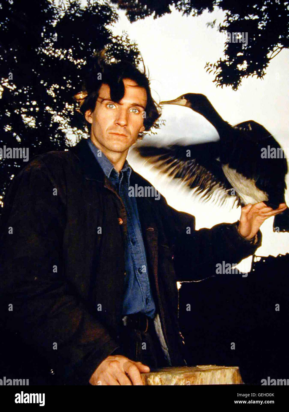 Ralph Fiennes John Talbot (Ralph Fiennes) steht im Zentrum einer aufregenden Geschichte von Besessenheit. *** Caption locale *** 1993, cormorano, Der Todesvogel Foto Stock