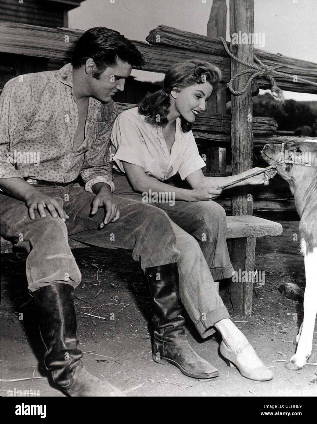 Elvis Presley, Debra Paget Clint (Elvis Presley) heiratet Cathy (Debra Paget), die Freundin circuizione Bruders Vance. *** Caption locale *** 1956, Love Me Tender, Pulverdampf und Heisse Lieder Foto Stock