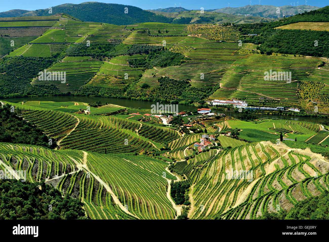 Portogallo: verdi vigneti e terrazze della Valle del Douro Foto Stock