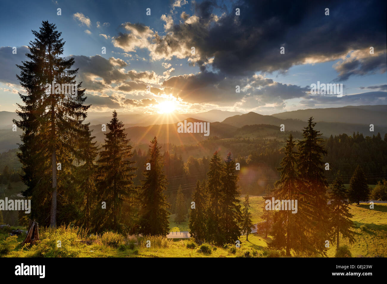 Tramonto vibrante paesaggio di montagna con alberi di pino in primo piano e sun nel telaio Foto Stock