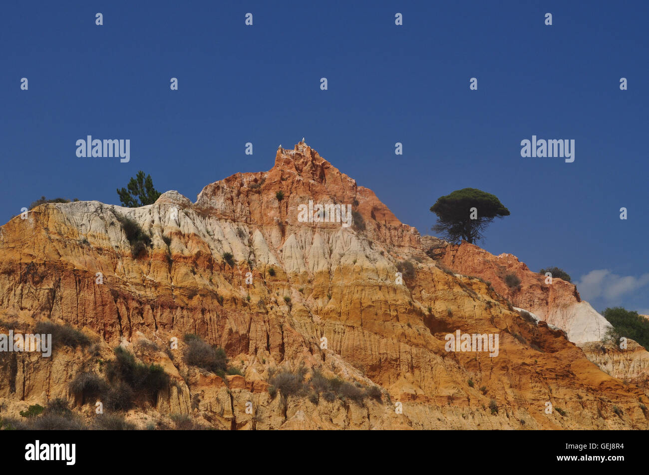 Gabbiani crown maestosa cima della scogliera di colore giallo Foto Stock