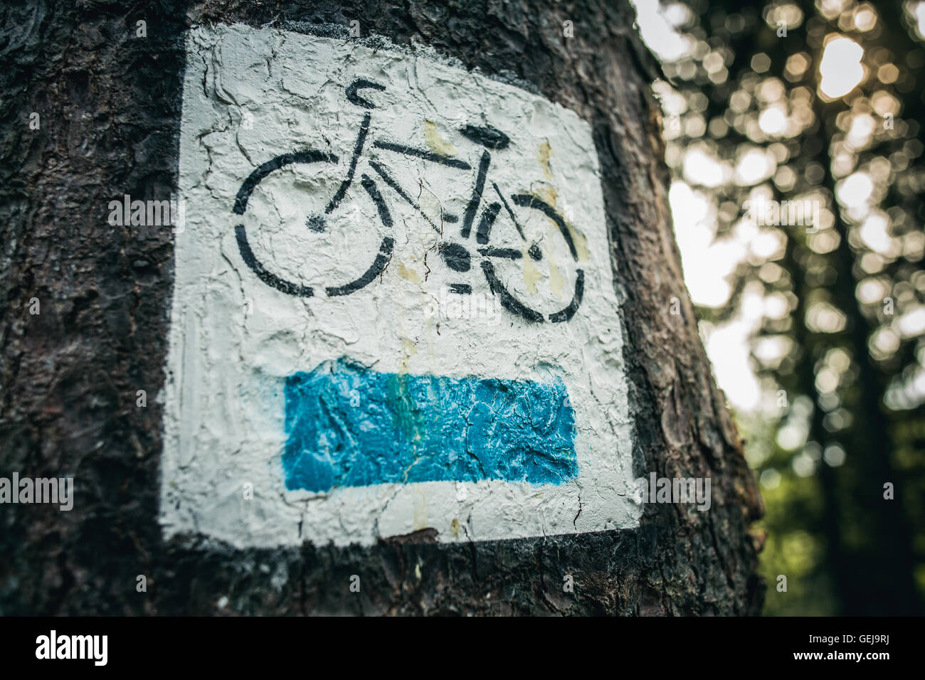 Pista ciclabile segni dipinti su un albero nella foresta Foto Stock