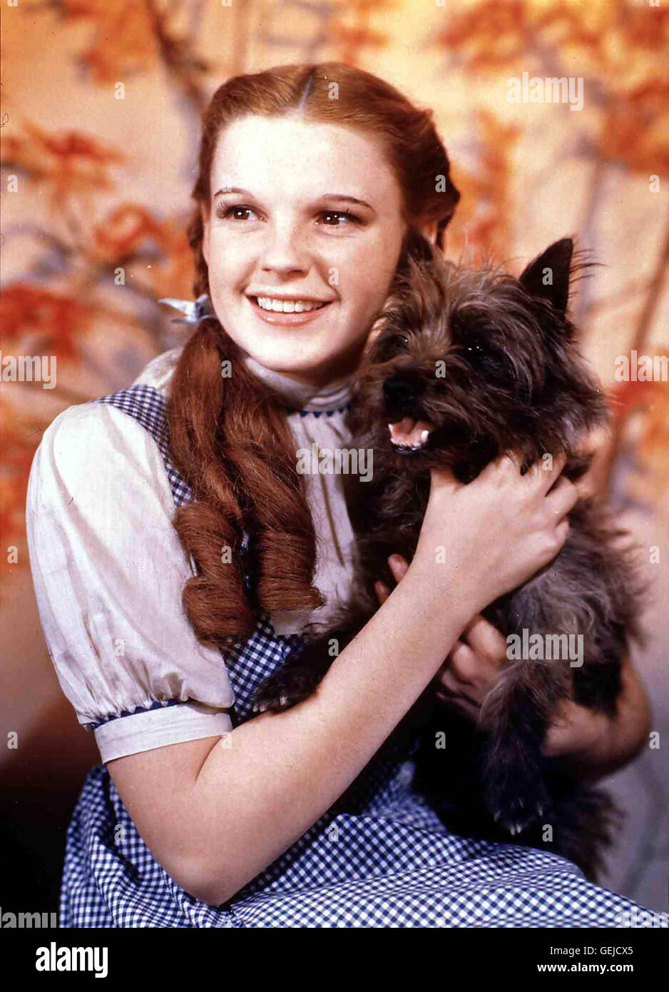 Judy Garland als Dorothy mit hund.Caption locale *** 1939, 1930er, 1930s, pellicola, Hund, il Mago di Oz, il cane, terrier, Das Zauberhafte Land Foto Stock