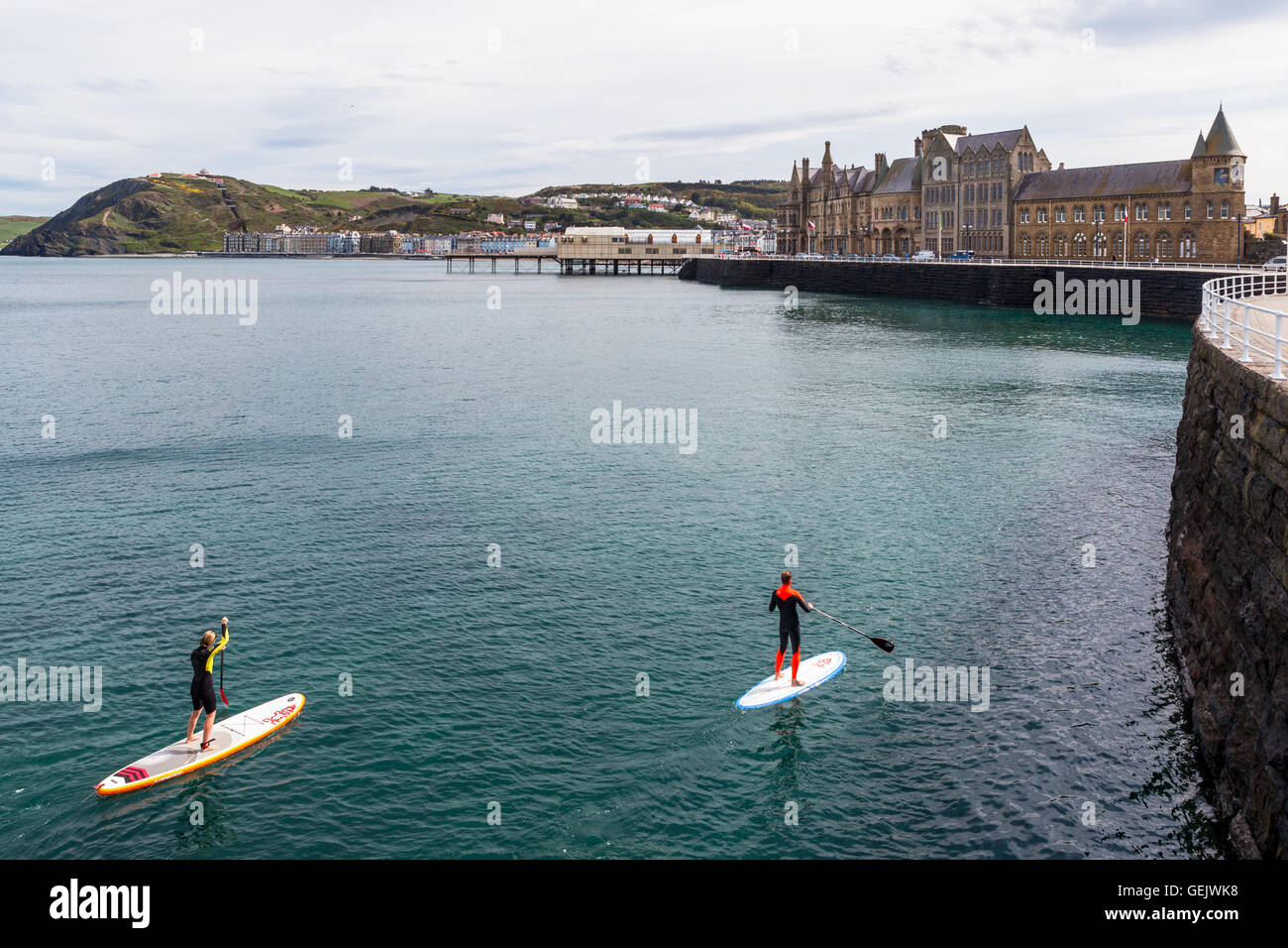 Due persone paddling in stand up paddle boards in Aberystwyth Foto Stock