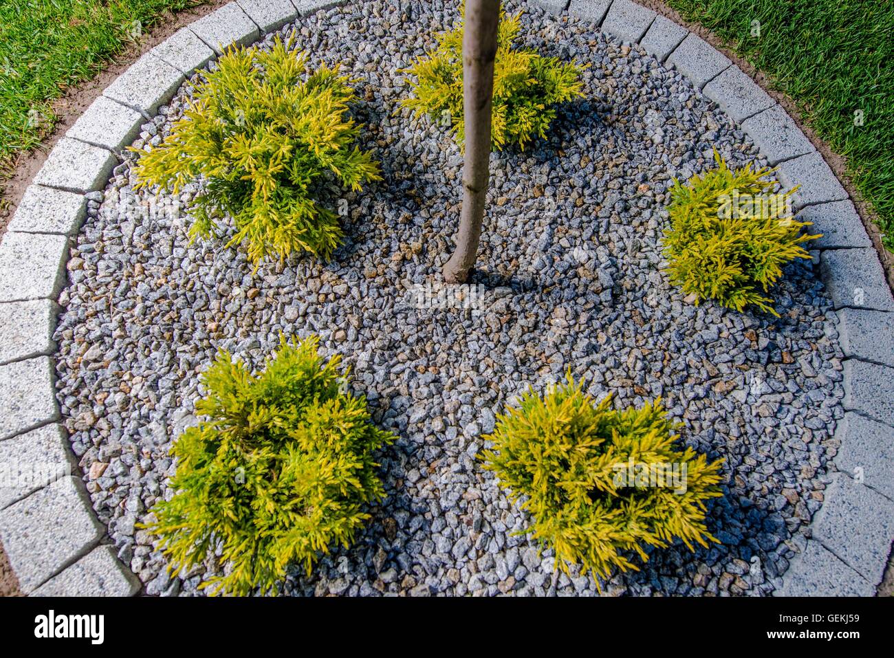 Garden Design dettagli. Circolare posto Giardino con piante. Foto Stock