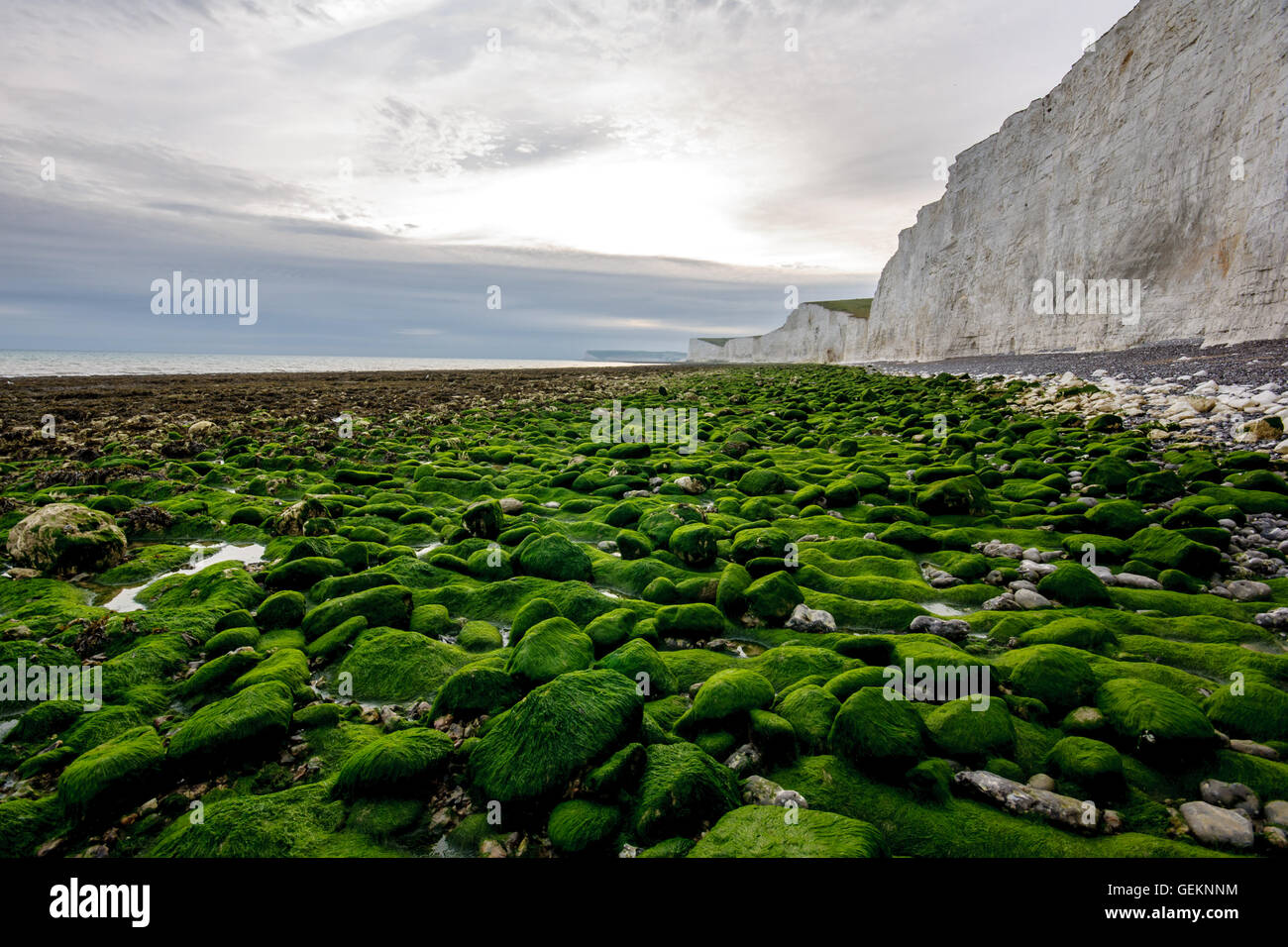 Birling Gap, guardando verso le sette sorelle, East Sussex, England, Regno Unito Foto Stock