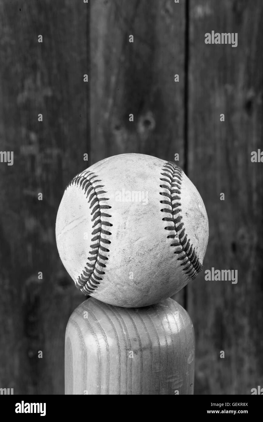 Il baseball e la mazza di legno in bianco e nero con una stanza per il tipo. Foto Stock Il baseball e la mazza di legno in bianco e nero con una stanza per il tipo. Foto Stock