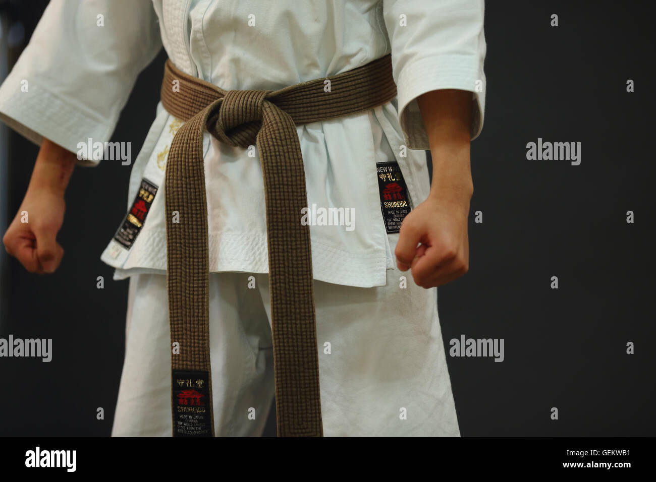Ragazzo giapponese nel karate uniforme su sfondo nero Foto Stock
