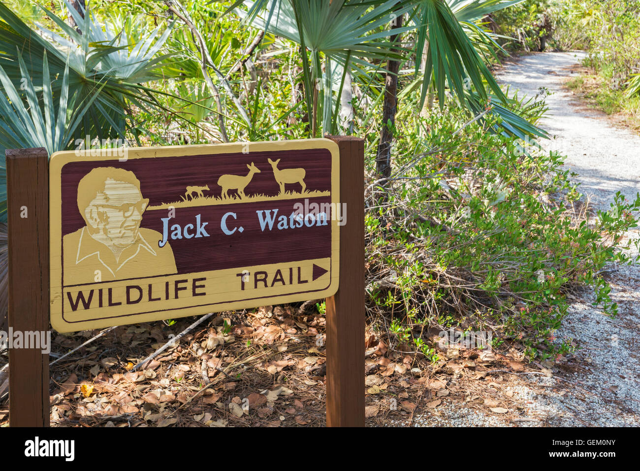 Florida, Big Pine Key, chiave Nazionale rifugio cervi, Jack C. Watson Wildlife Trail, sentiero Foto Stock