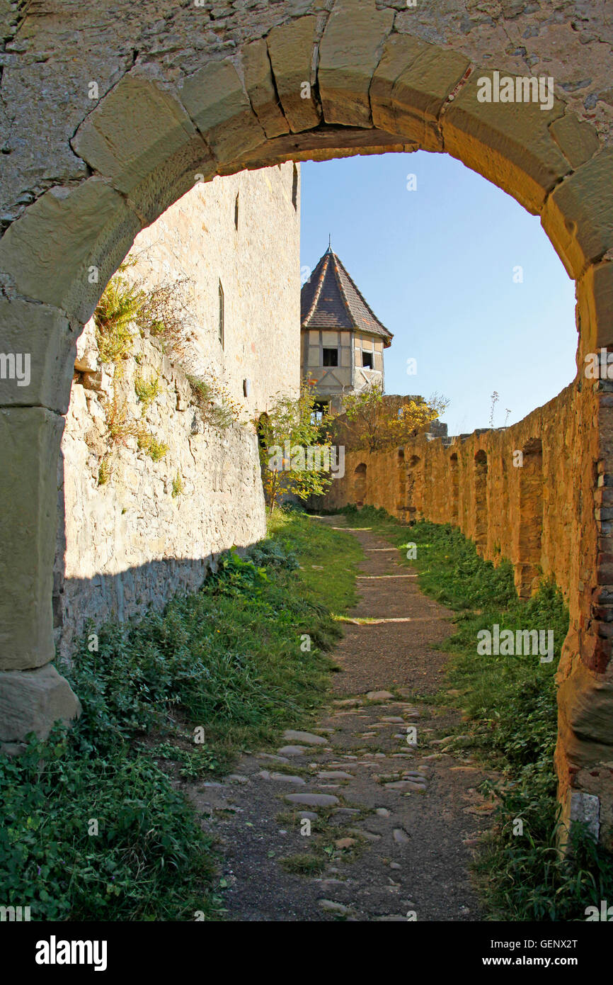 Il castello di Hornberg, Neckarzimmern, Foto Stock