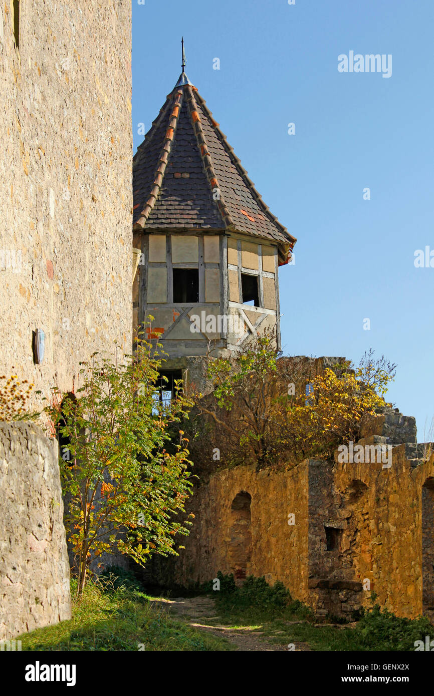Il castello di Hornberg, Neckarzimmern, Foto Stock
