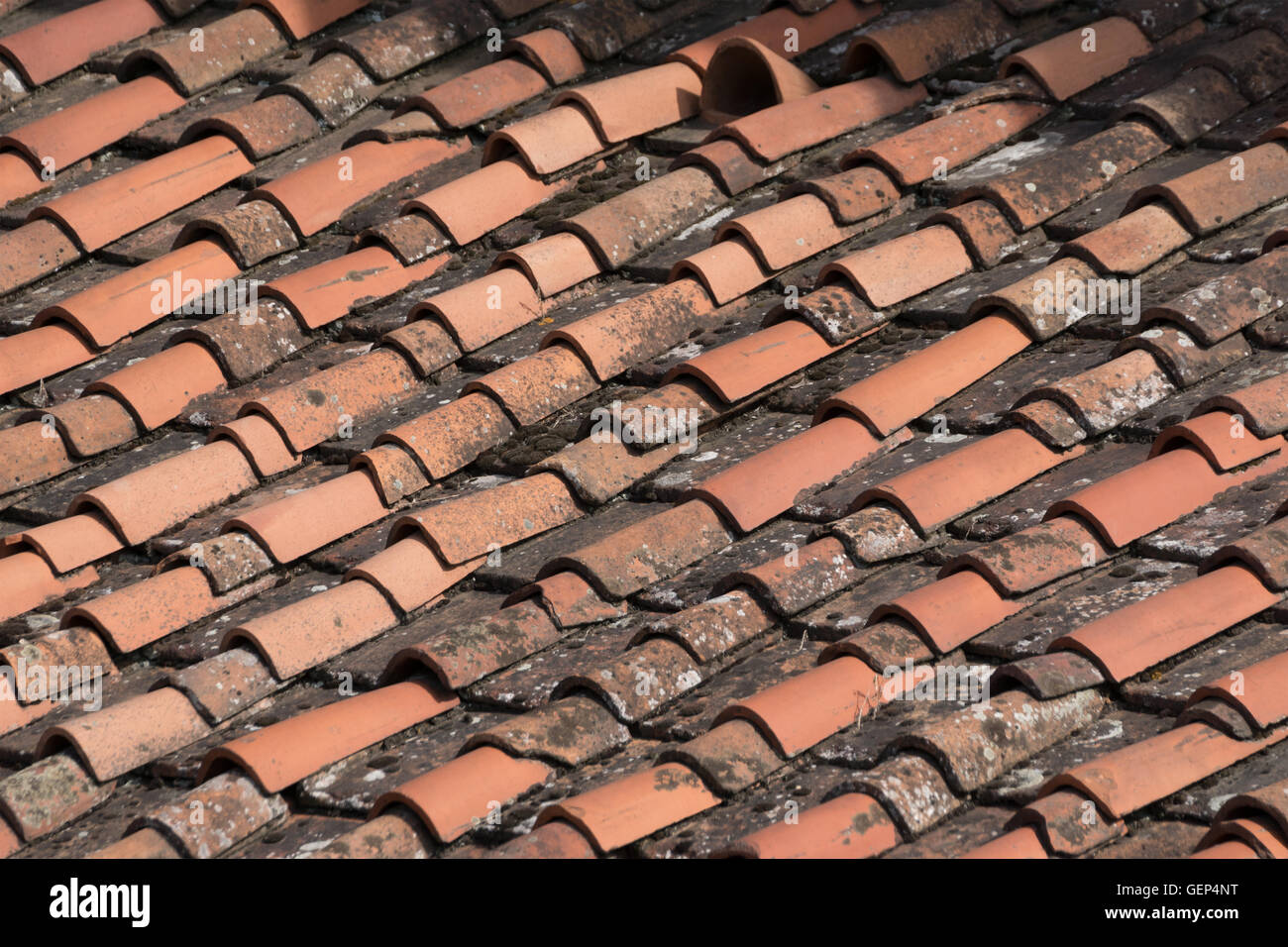 Vecchio tetto padelle su una casa italiana a Firenze Foto Stock