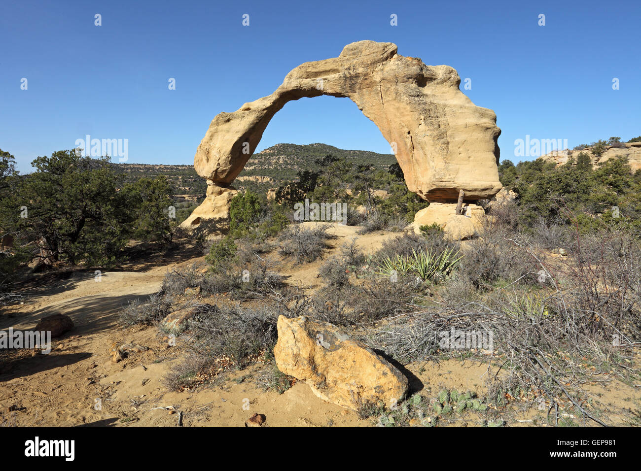 Anazasi Arch, Nuovo Messico Foto Stock