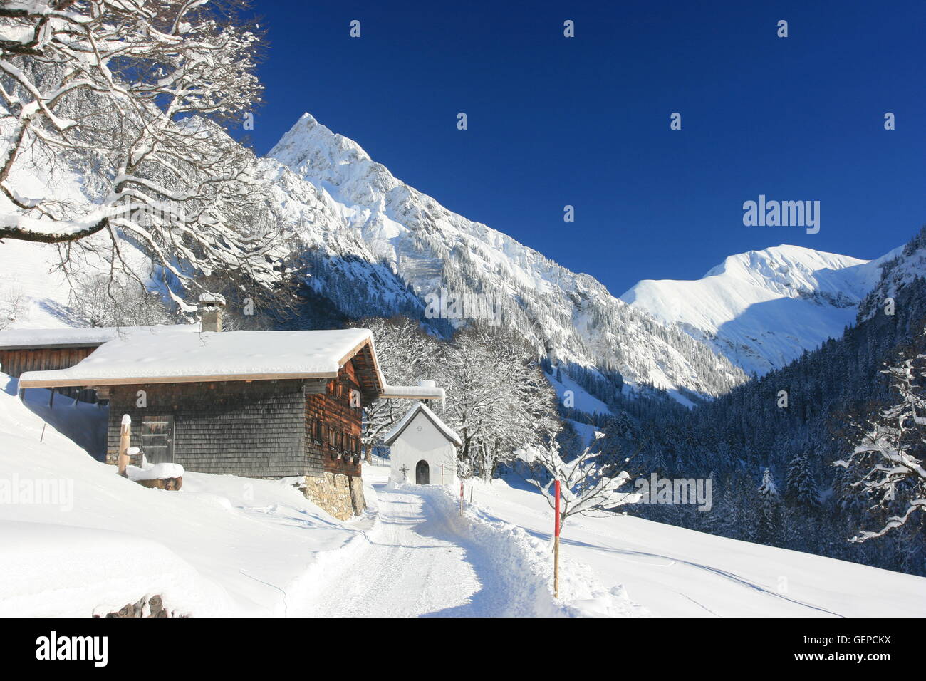 Valle Trettach, Superiore Allgaeu Foto Stock