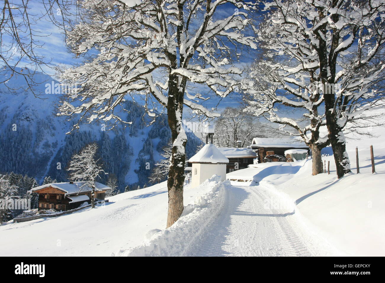 Valle Trettach, Superiore Allgaeu Foto Stock