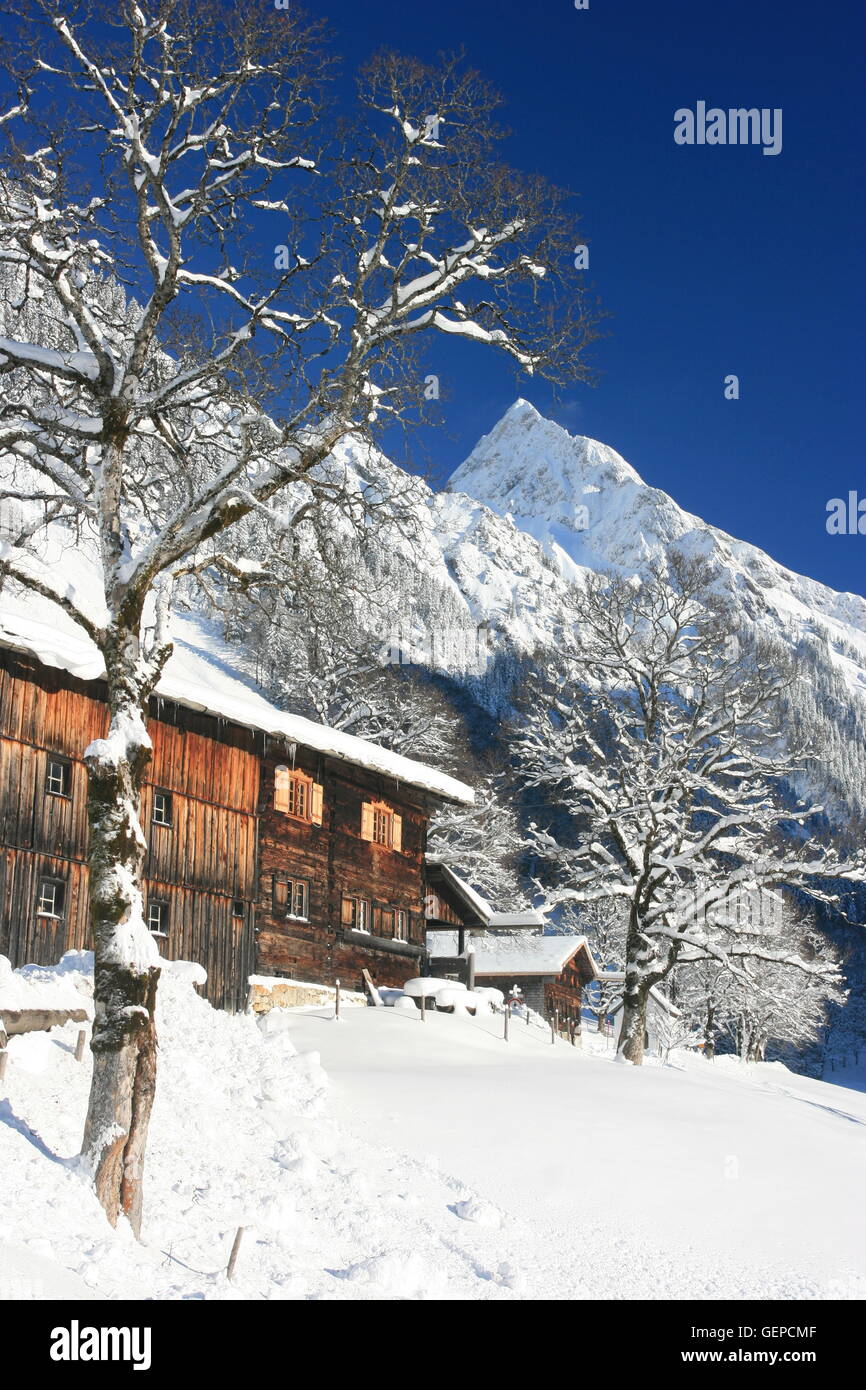 Geografia / viaggi, in Germania, in Baviera, Allgaeu, Superiore Allgaeu, alpino estate Gerstruben vicino a Oberstdorf, Trettachtal (Trettach Valley), Hoefats,, No-Coffee-Table-Book-Uso: Allgäu Foto Stock