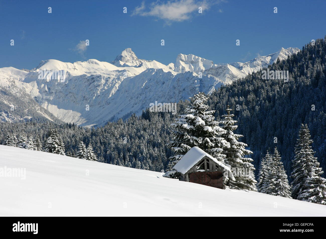 Riedberg Pass, Allgaeu superiore Foto Stock