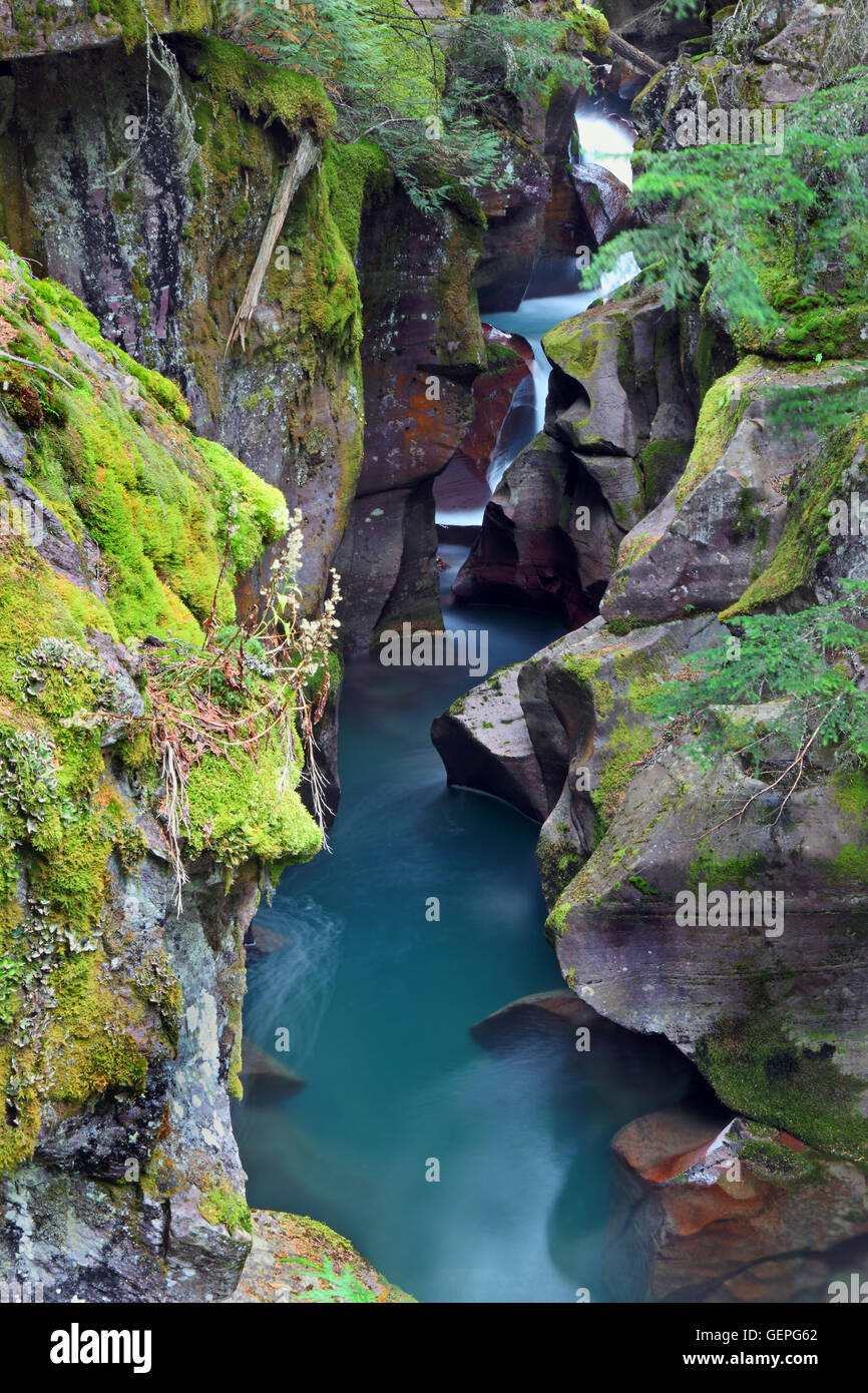 Geografia / viaggi, STATI UNITI D'AMERICA, Montana, Avalanche Creek, il Glacier National Park Foto Stock