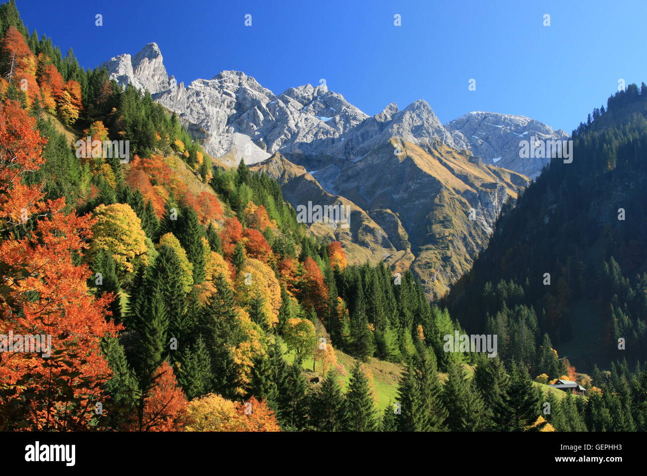 Valle Stillach, Superiore Allgaeu Foto Stock