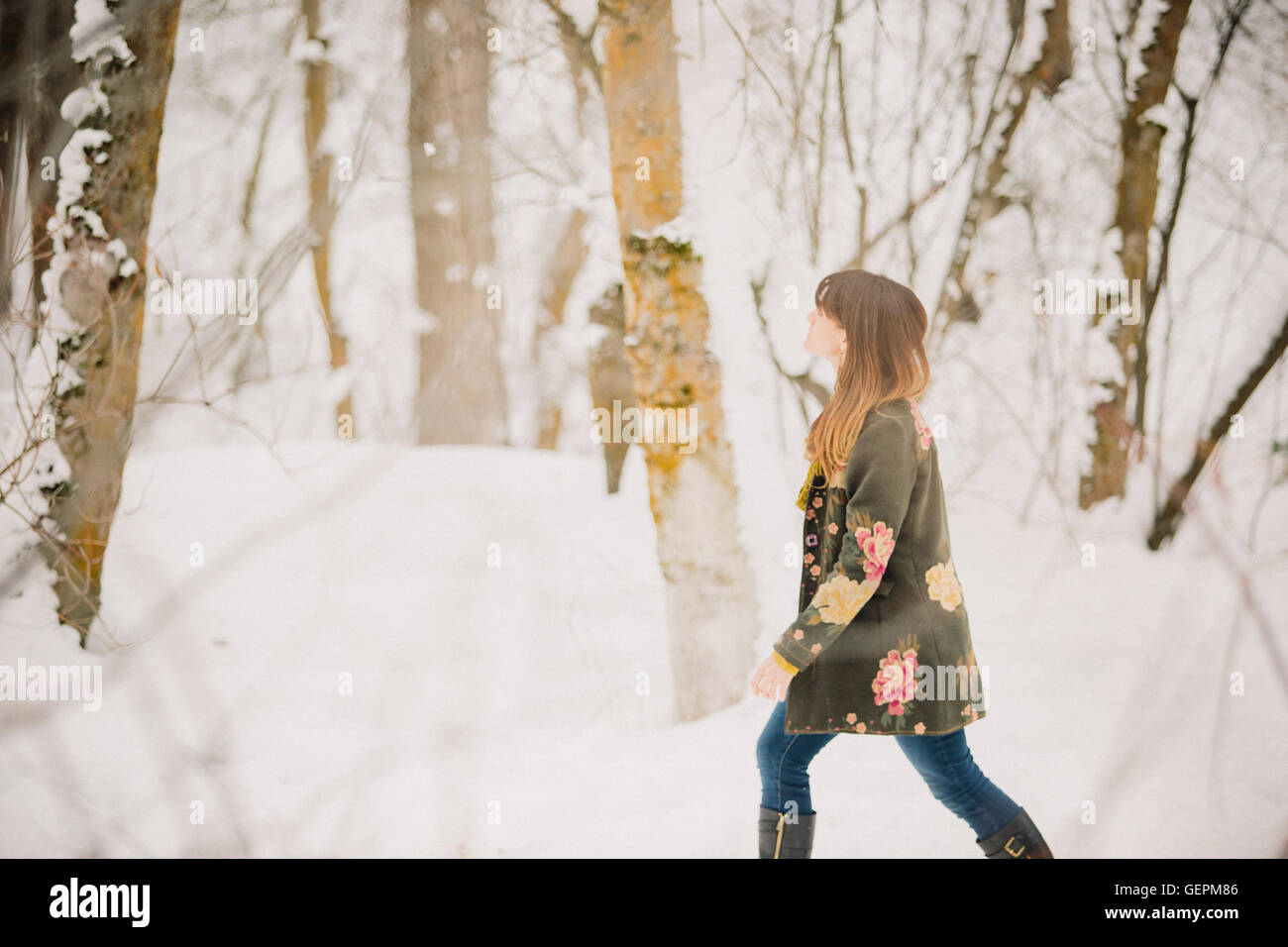 Una donna che cammina nella neve nel bosco. Foto Stock