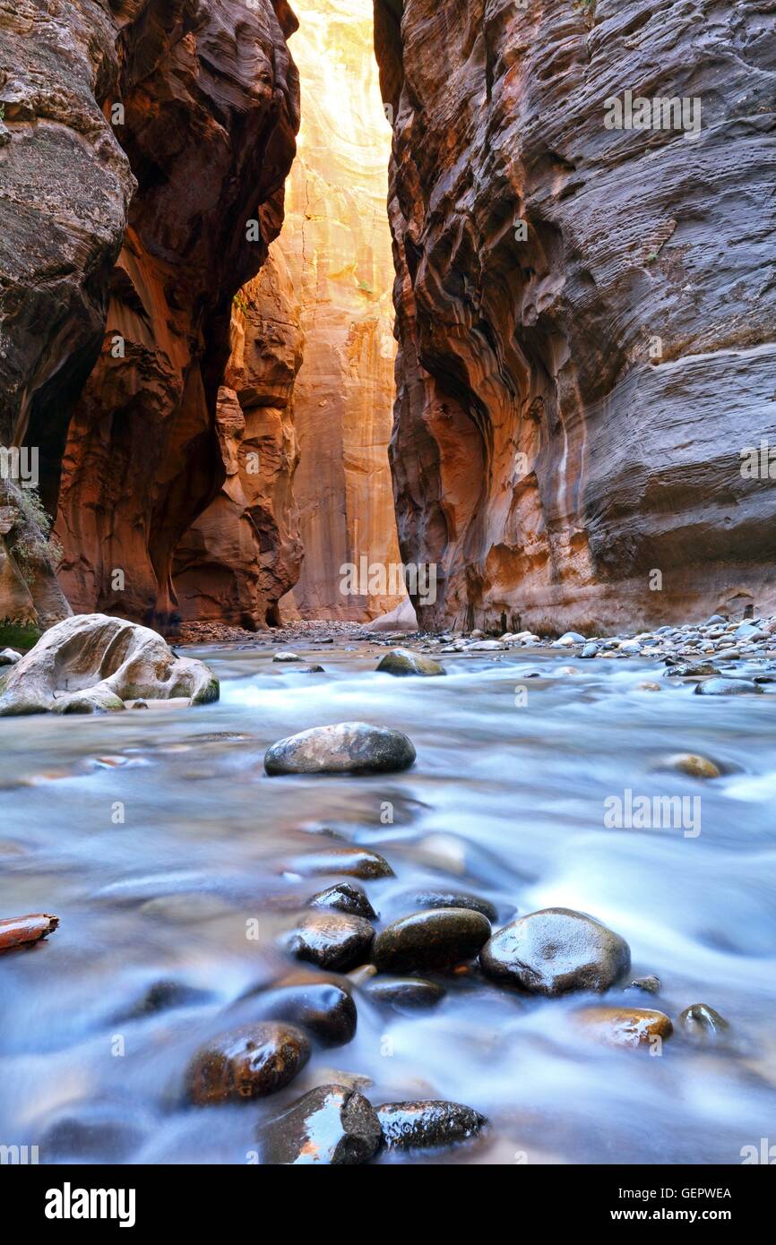 Geografia / viaggi, USA Utah, la si restringe, fiume vergine, parco nazionale Zion, Foto Stock