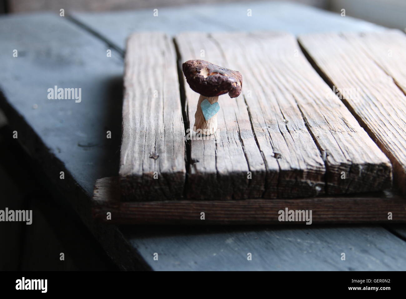 Amore cibo organico idea o madri giorno della carta Foto Stock