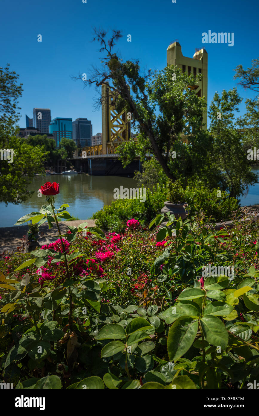 Giornata di sole a Sacramento in California composizione verticale Foto Stock