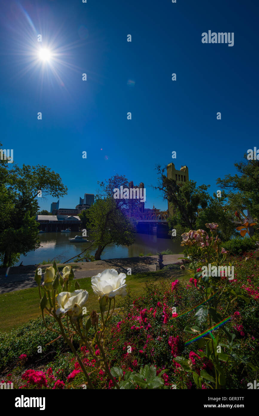 Giornata di sole a Sacramento in California composizione verticale Foto Stock