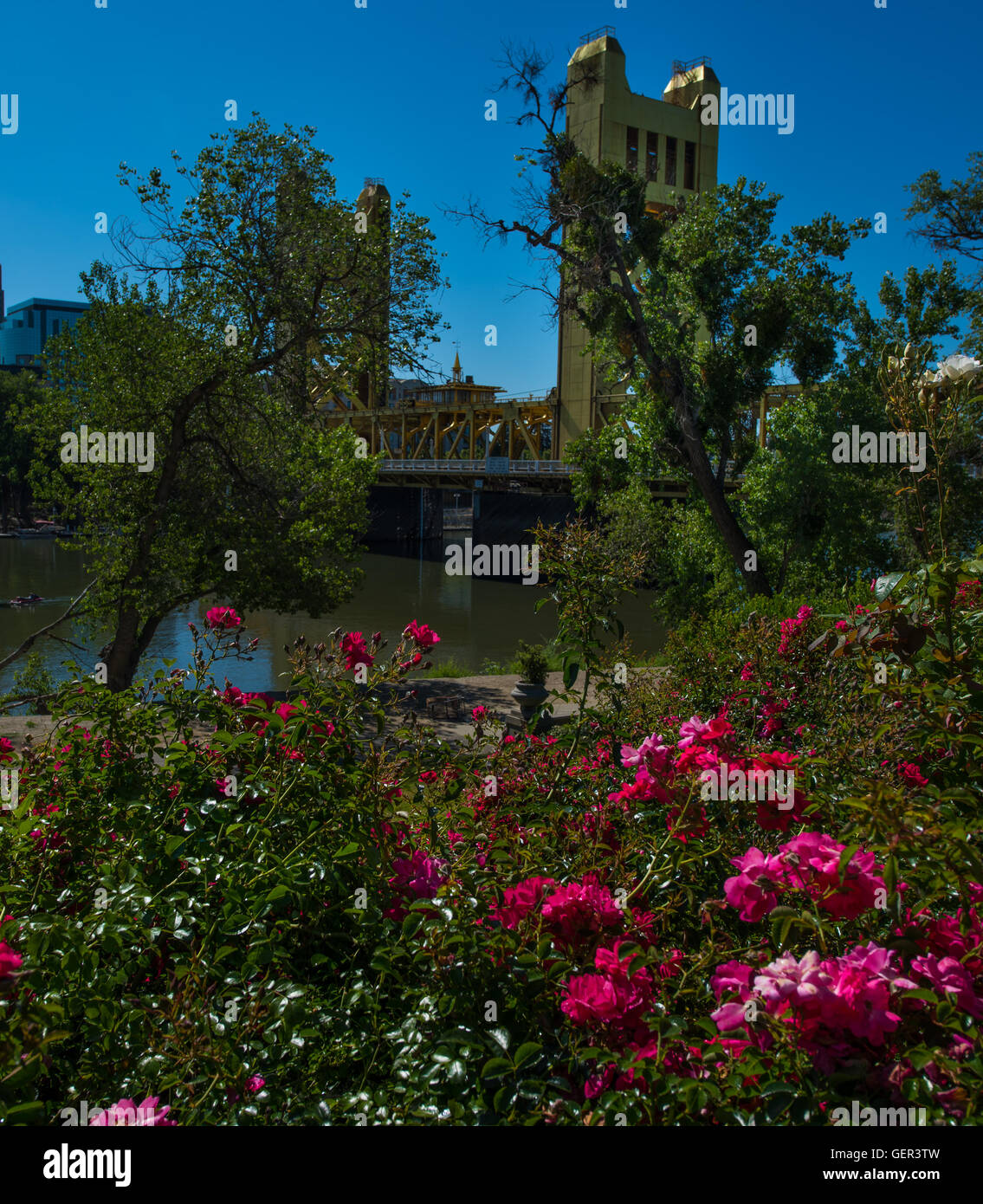 Giornata di sole a Sacramento in California composizione verticale Foto Stock