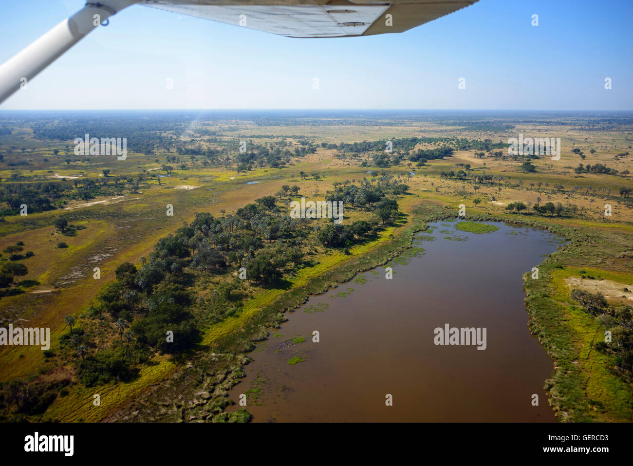 Vista aerea, Okavango Delta, Botswana Foto Stock