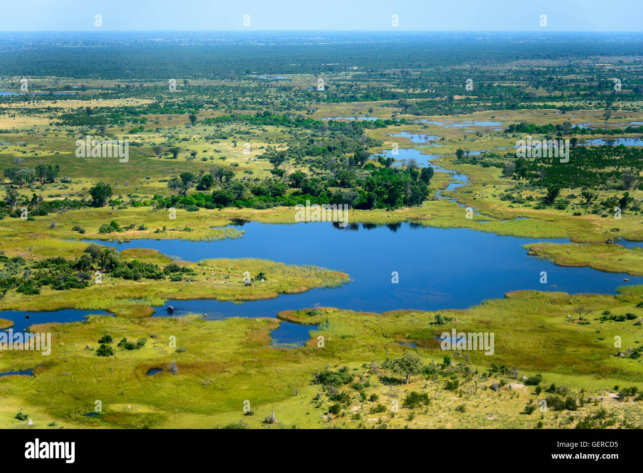Vista aerea, Okavango Delta, Botswana Foto Stock