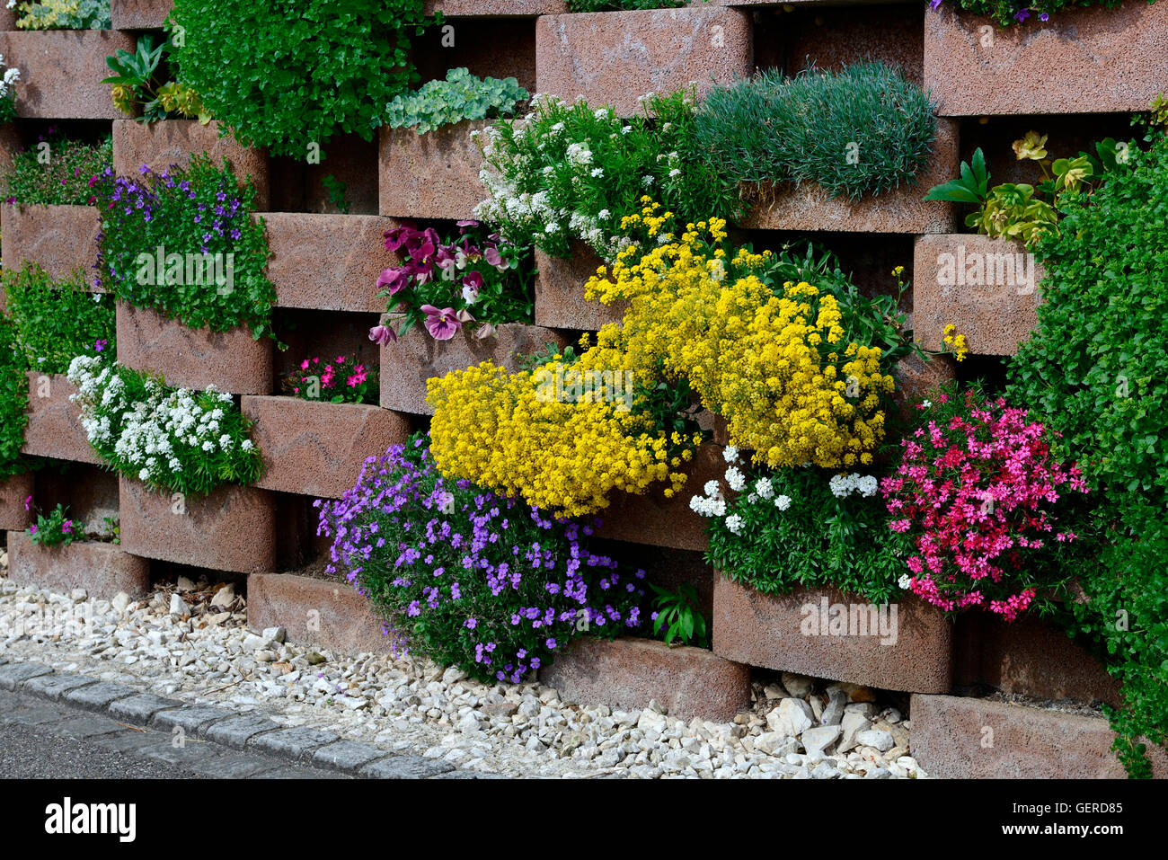 Mauer mit bluehenden Blumen, Mauerwerk mit Aussparungen fuer Blumen Foto Stock