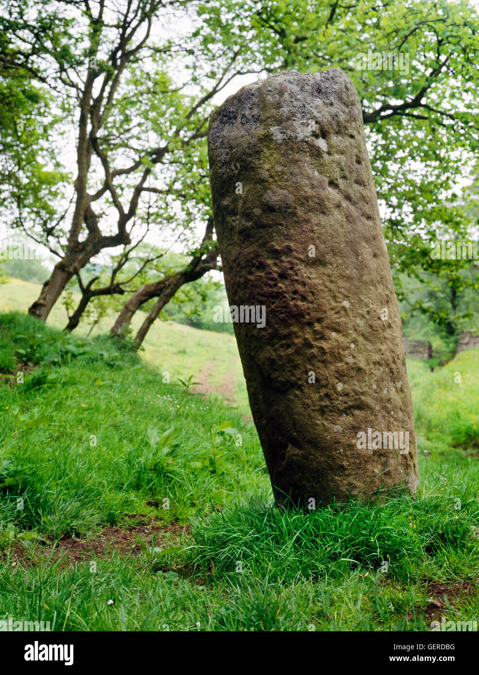 Una pianura, 5-piede cilindrico alto miliare romano in situ Stanegate accanto alla strada romana al forte di Vindolanda S del Muro di Adriano, Northumberland. Foto Stock