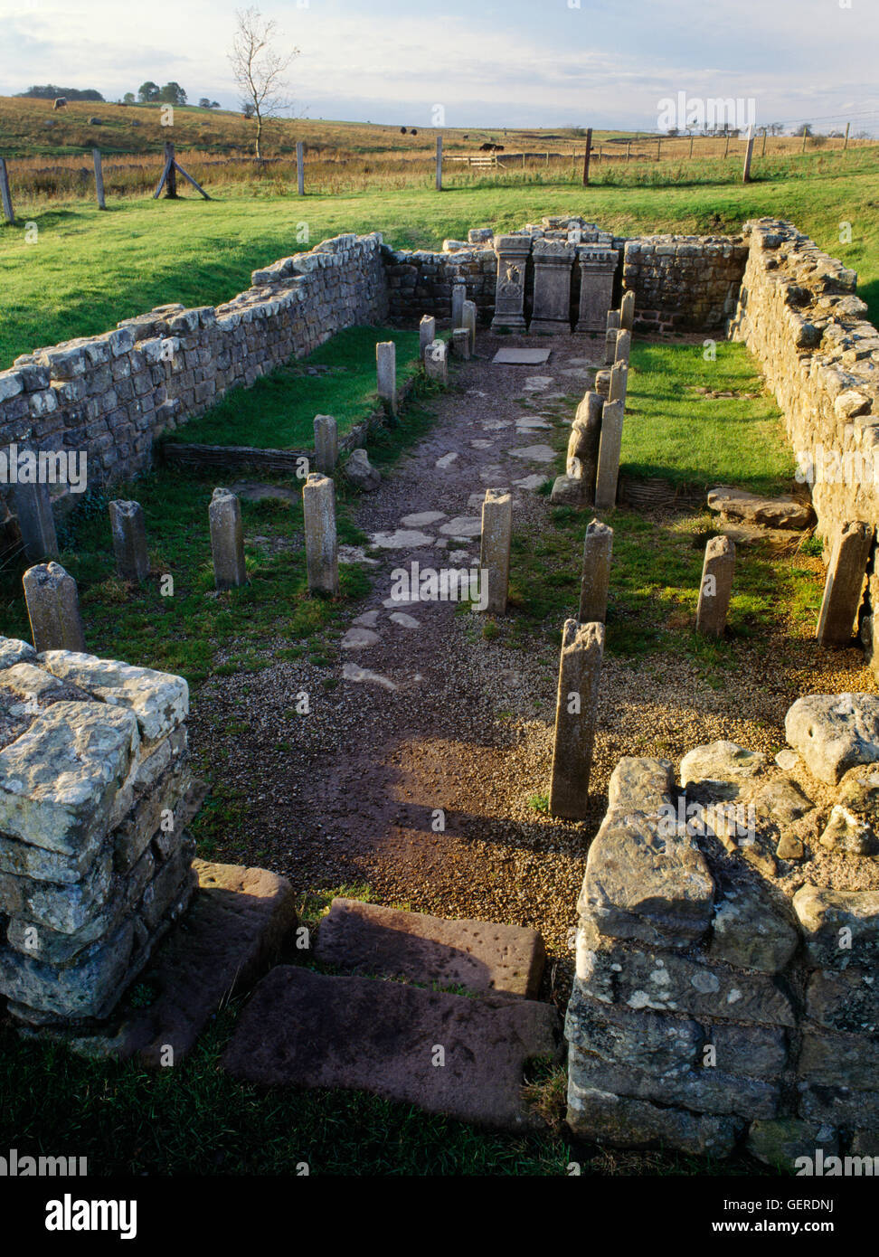 C3rdAD tempio di Mitra (Mitreo) accanto a Carrawburgh Roman Fort il vallo di Adriano, Northumberland. Cercando W attraverso l'ingresso & ante-cappella. Foto Stock