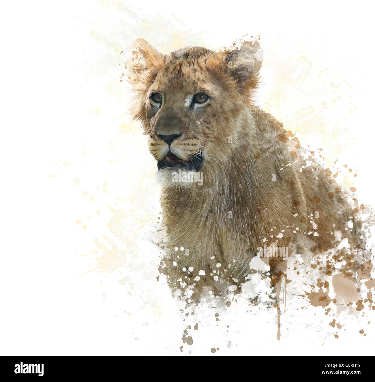 La pittura digitale di Lion Cub Foto Stock