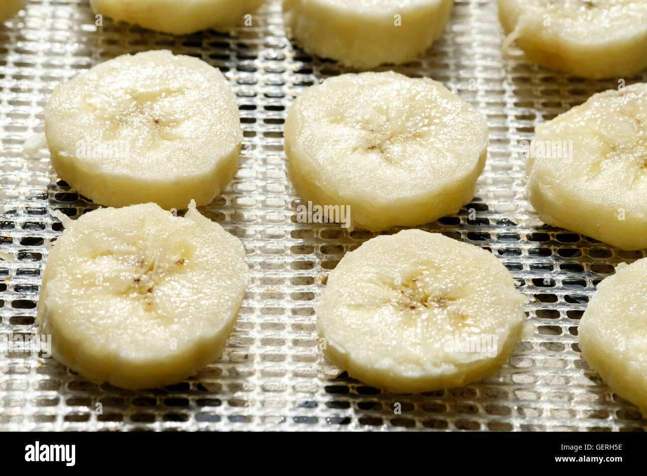 Fette di banana stagionato preparato per la disidratazione su una pressa disidratante rack Foto Stock