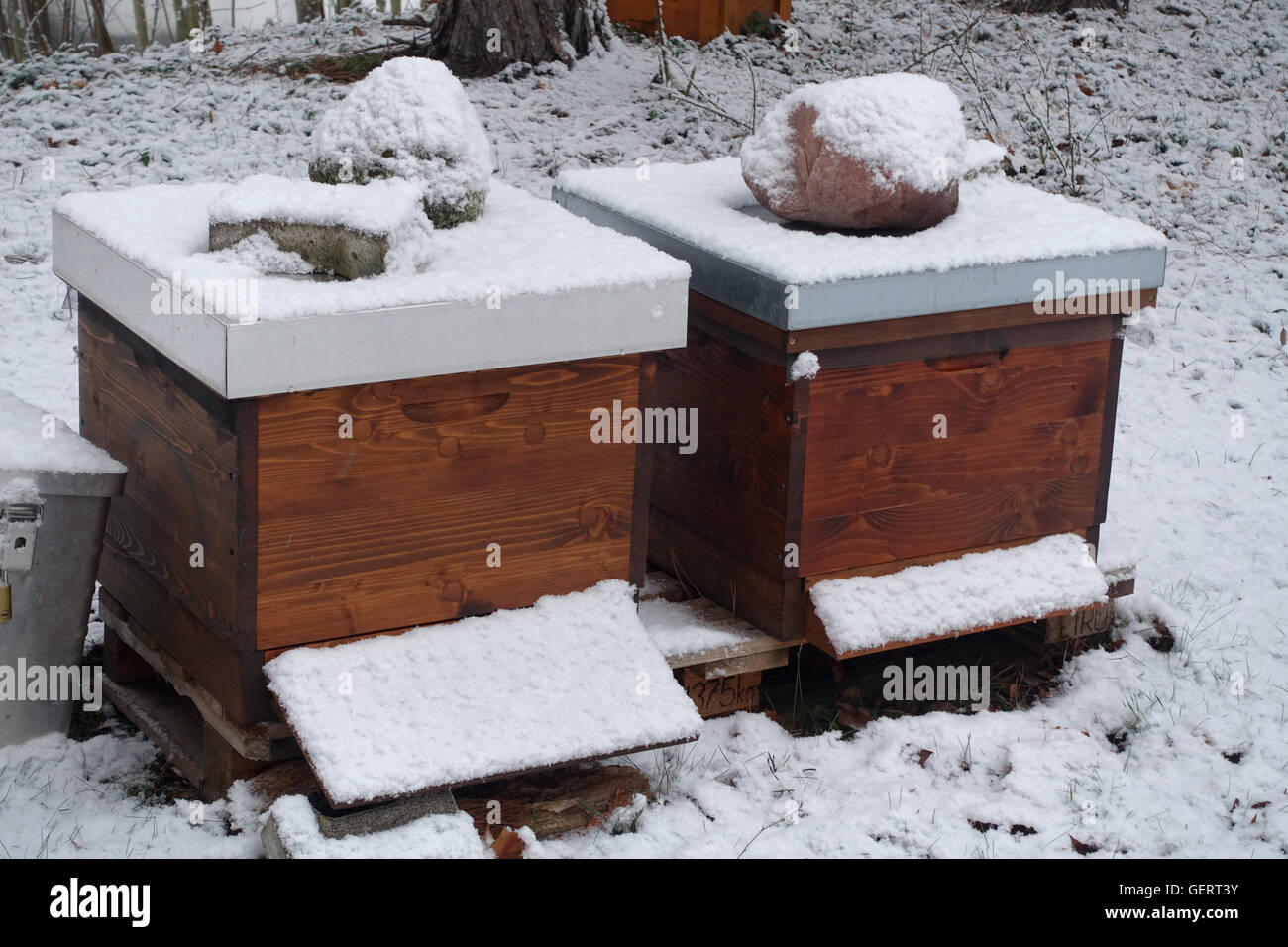 Berlino, Germania, alveari sono coperte di neve in inverno Foto Stock