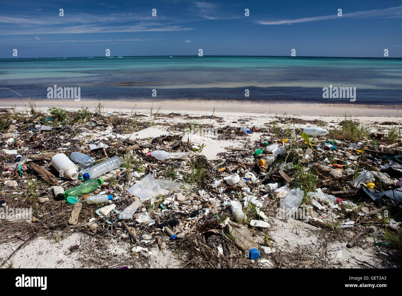 Immondizia di plastica ha lavato a terra su di una remota isola del Mar dei Caraibi. La plastica può essere nocivo una volta in ecosistemi marini. Foto Stock