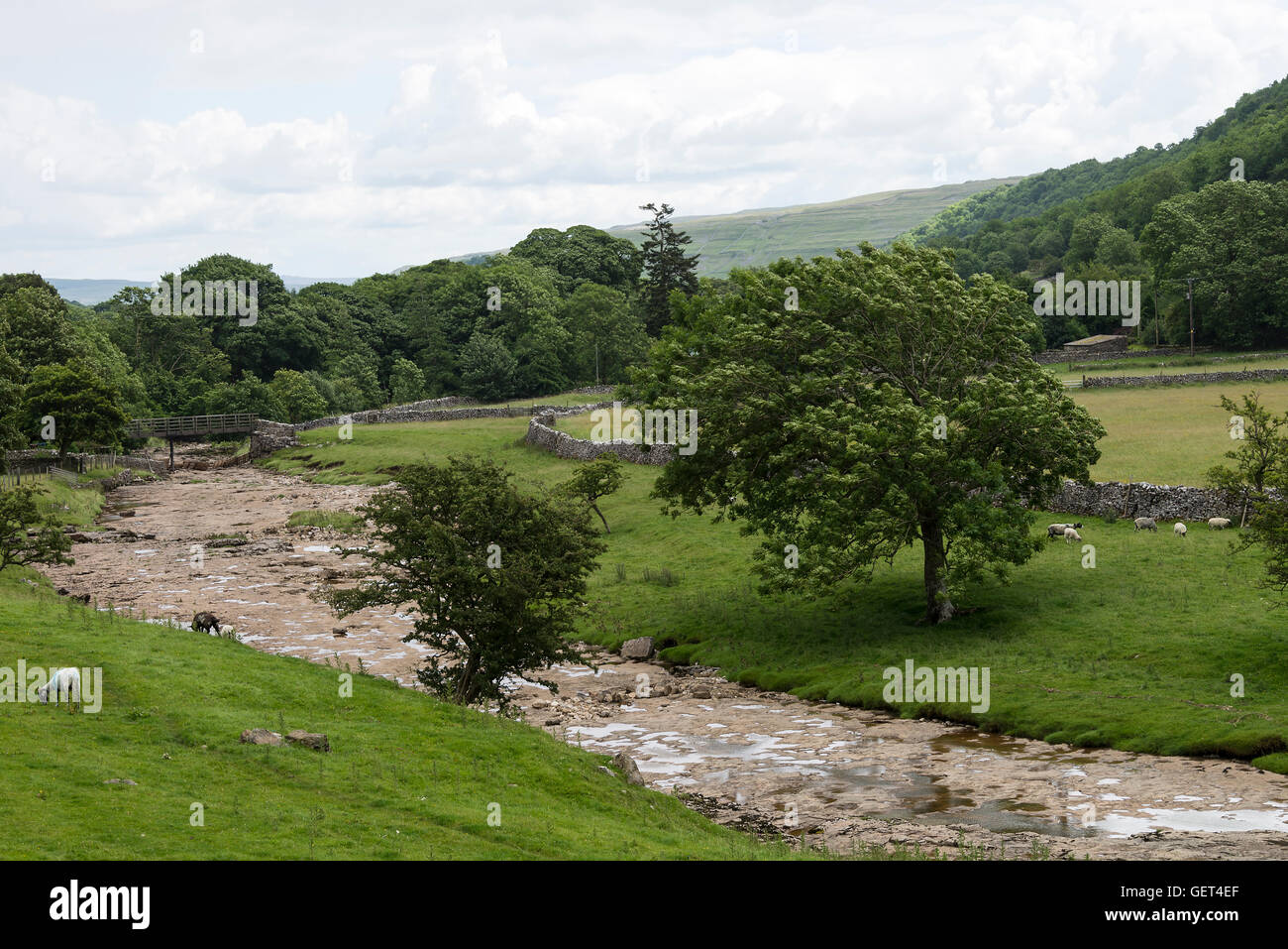 Il fiume Skirfare in Littondale vicino Halton Gill nel Yorkshire Dales National Park nello Yorkshire England Regno Unito Regno Unito Foto Stock