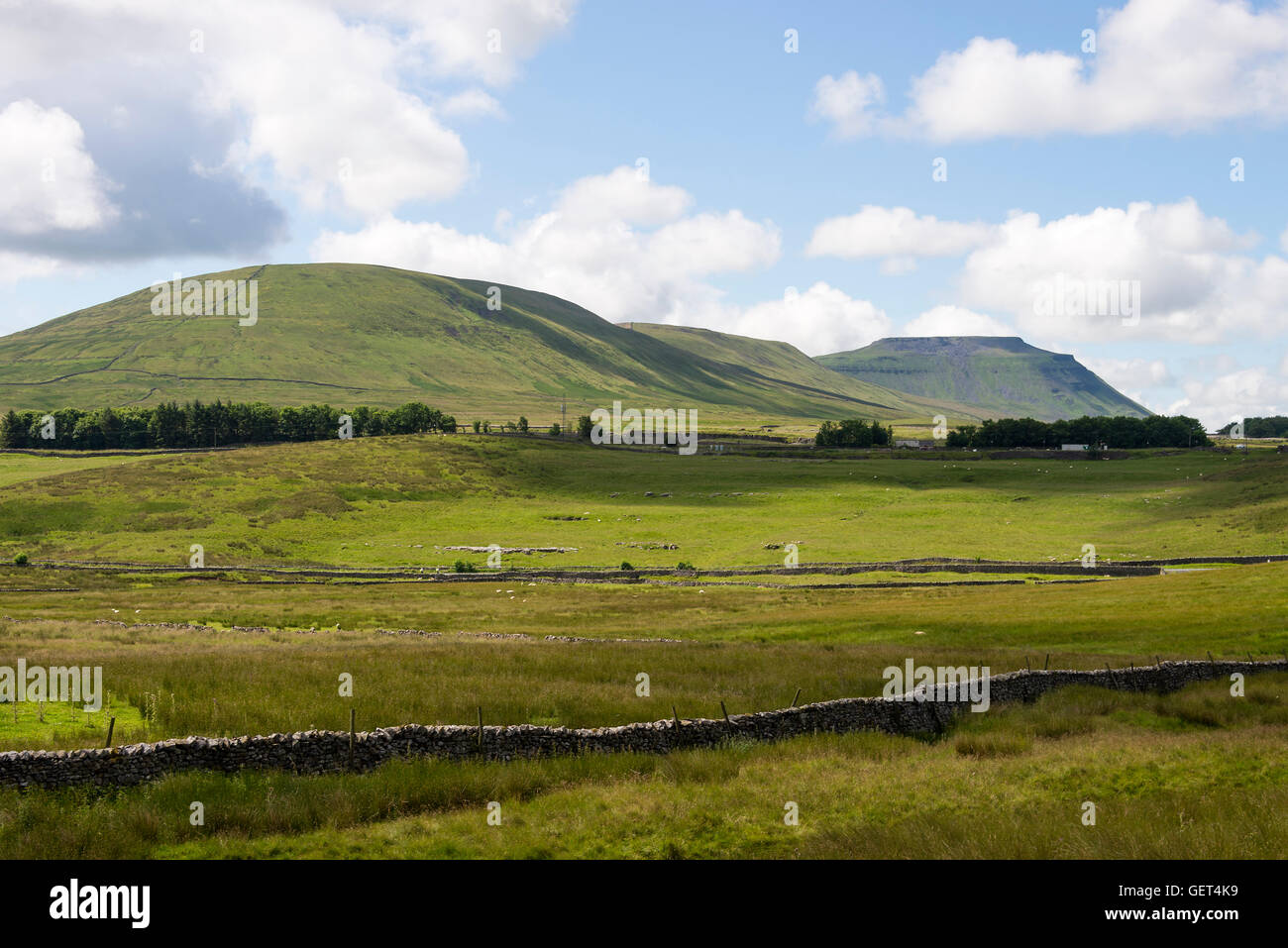 La bellissima montagna Ingleborough nel Yorkshire Dales National Park vicino Ingleton England Regno Unito Regno Unito Foto Stock