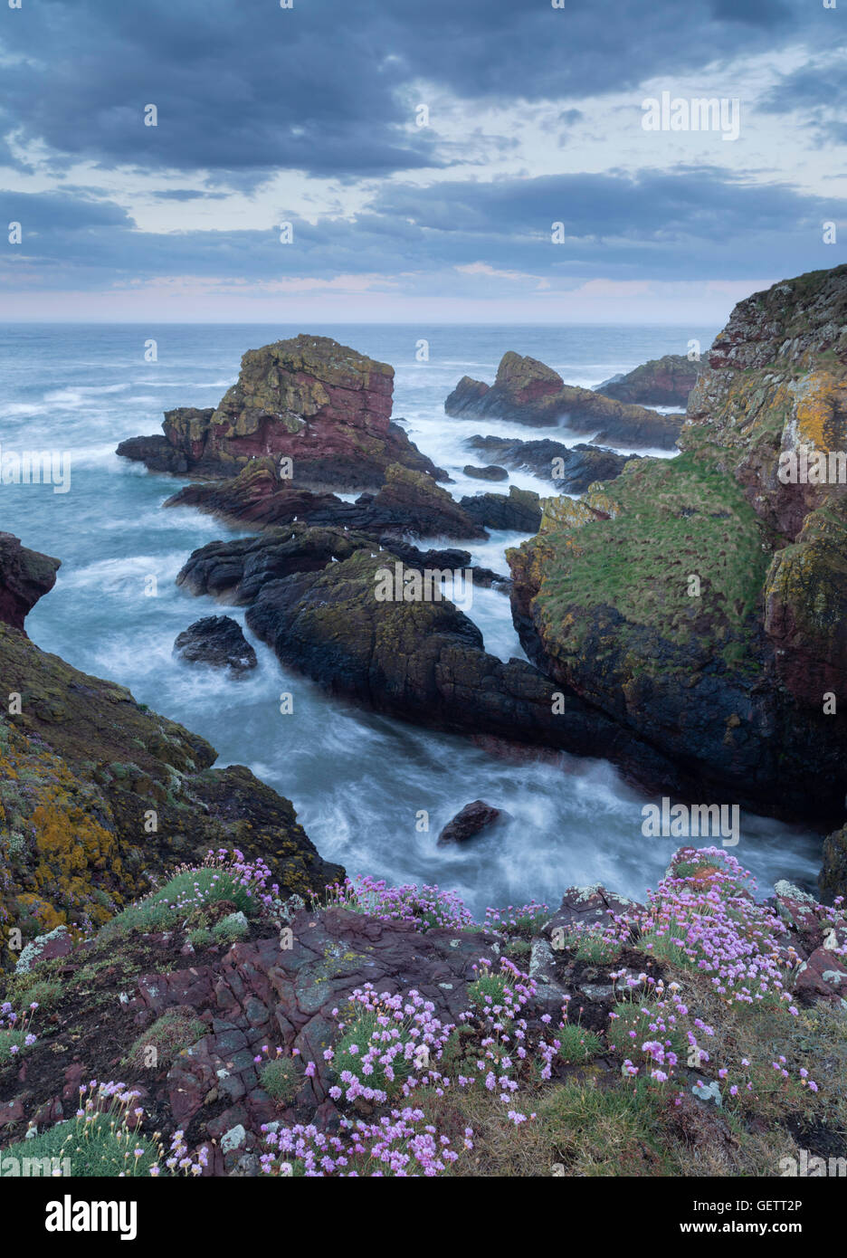 Una vista della costa a St di Abb del capo Riserva Naturale. Foto Stock