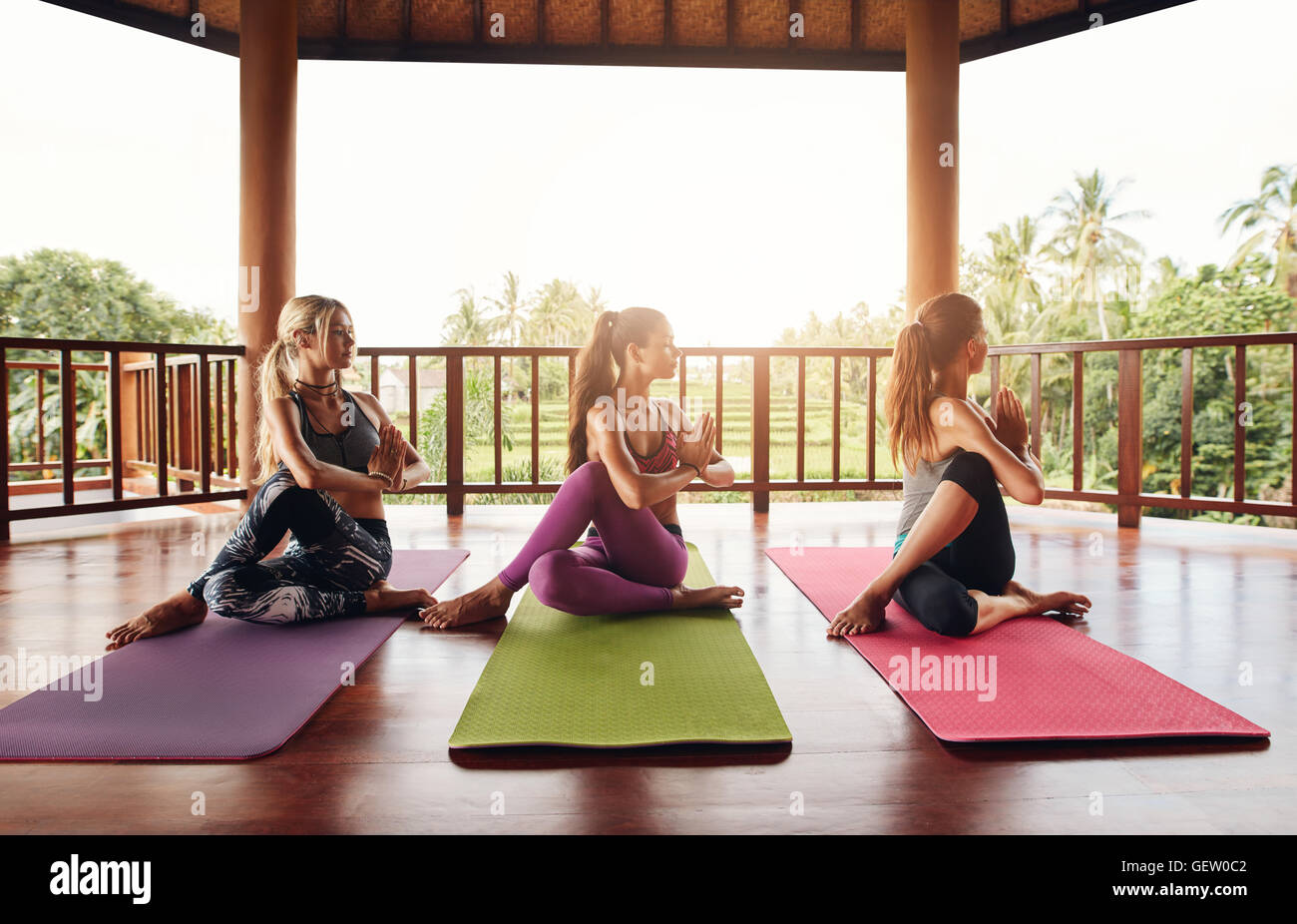 Sana le giovani donne praticanti mezza torsione spinale yoga. Gruppo femminile di fare yoga yoga in classe. Ardha Matsyendrasana. Foto Stock